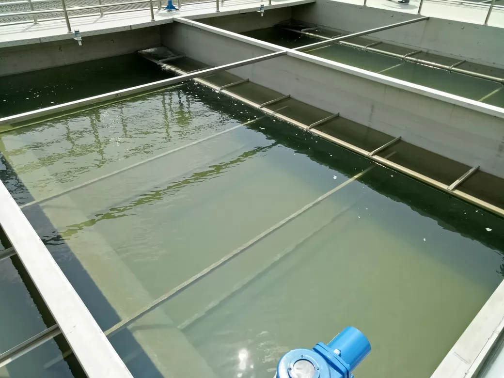 Sewage Treatment Plant